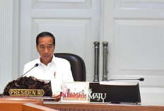 Jokowi Bentuk Satgas Percepatan Investasi di IKN, Dipimpin Bahlil dan AHY