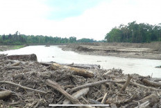 Kementerian PU Normalisasi Sungai Krueng Tiro Pascabencana, Sejumlah Alat Berat Dikerahkan