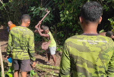 Gotong Royong Satgas TMMD Ke-128 Bersama Warga Bangun Kampung Hijau untuk Tanam Kakao