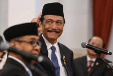 Rencana Kenaikan PPN 12%, Luhut: Hampir Pasti Diundur!