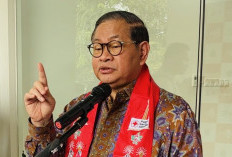 Pramono Minta Transjakarta Buka Jalur di 11 Stasiun LRT, Permudah Akses Penumpang