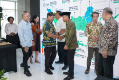 10 Provinsi Dapat Dana RBP REDD+ GCF-2, Menhut Raja Juli Antoni: Jangan Bermain-main Tingkatkan Kinerja