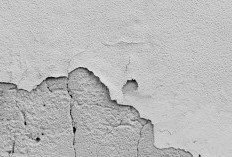 Musim Hujan Bikin Dinding Langsung Basah? Ini Biang Kerok yang Jarang Disadari