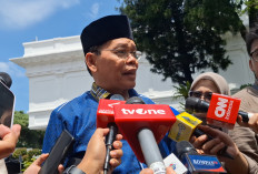 Bertemu Prabowo di Istana, MUI: Perdamaian Dunia Harus Konkret