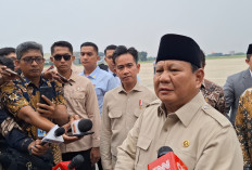 Prabowo Perintahkan KSP Cek SPPG Nonaktif yang Tetap Terima Insentif