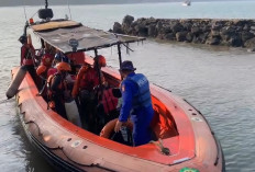 Hari Ketujuh, Tim SAR Perluas Pencarian Rombongan Jurnalis ke 7 Sektor Seluas 6.649 NM²