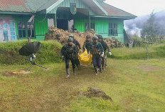 3 Hari Diduduki OPM, Pasukan TNI-Polri Berhasil Evakuasi Korban Penembakan di Intan Jaya