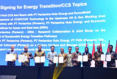 Pertamina dan ERIA Perkuat Kolaborasi Strategis untuk Percepat Transisi Energi Berkelanjutan