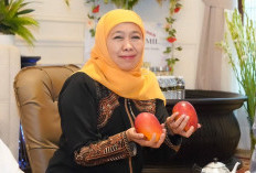 KPK Panggil Khofifah Indar Parawansa Besok di Polda Jatim, Pilih Kasih? Ini Kata Pengamat