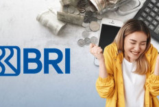 Skema Tabel KUR BRI 2026 Pinjaman Rp10 Juta, Solusi Cari Modal Usaha Jelang Imlek!