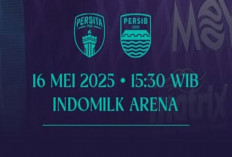 Link Live Streaming Persita Tangerang vs Persib Bandung di Liga 1 Hari Ini, Lanjutkan Pesta!