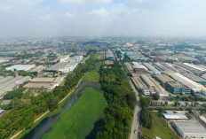 Dilema Perpres No 4 Tahun 2026, Praktisi Hukum Singgung Niat Lindungi Sawah dan 'Momok' Investasi