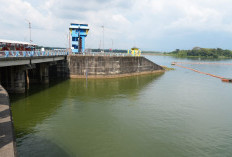 Seberapa Siap Indonesia Hadapi Ancaman El Nino Godzilla di Musim Kemarau? 