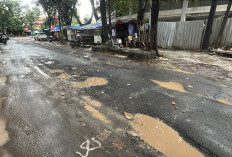 Jalan Berlubang di Sekitar Stadion Patriot Bekasi Resahkan Warga, Bahaya di Saat Hujan
