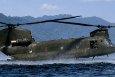 Bukan Helikopter Biasa! Intip Kekuatan 3 Chinook Jepang Dikerahkan ke Kalimantan Bantu Lawan Karhutla