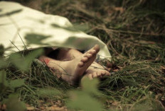 Sosok Dokter PPDS Ditemukan Tewas di Samping RSUD Siak Riau, Sempat Hilang dan Terlacak CCTV