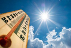 5 Golongan Rentan Terserang Penyakit Akibat Heat Wave, Kenali Gejalanya!