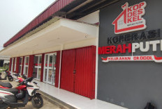 Tercatat 10.070 Koperasi Merah Putih, Pemerintah Targetkan 35.000 Gerai Beroperasi Penuh Akhir 2026