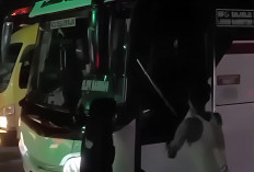 Viral! Diduga Sejumlah Pengamen Jalanan Merusak Bus Primajasa di Tangerang