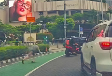 WNA Italia Dijambret hingga Terjungkal di Kawasan Bundaran HI, HP Motorola Raib!