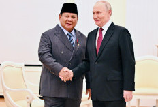 Presiden Putin Tawarkan Kerja Sama Strategis kepada Prabowo: Pertahanan hingga Pertanian