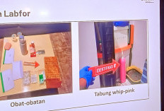 Polisi Pastikan Whip Pink Berada di TKP Kasus Kematian Lula Lahfah